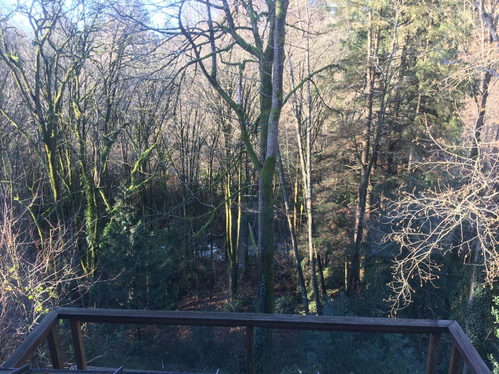 Creekside City Center Suite North Vancouver Eksteriør bilde